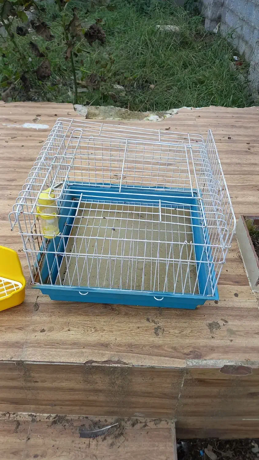 قفس خرگوش به همراه لوازم|موش و خرگوش|رشت, گلسار|دیوار