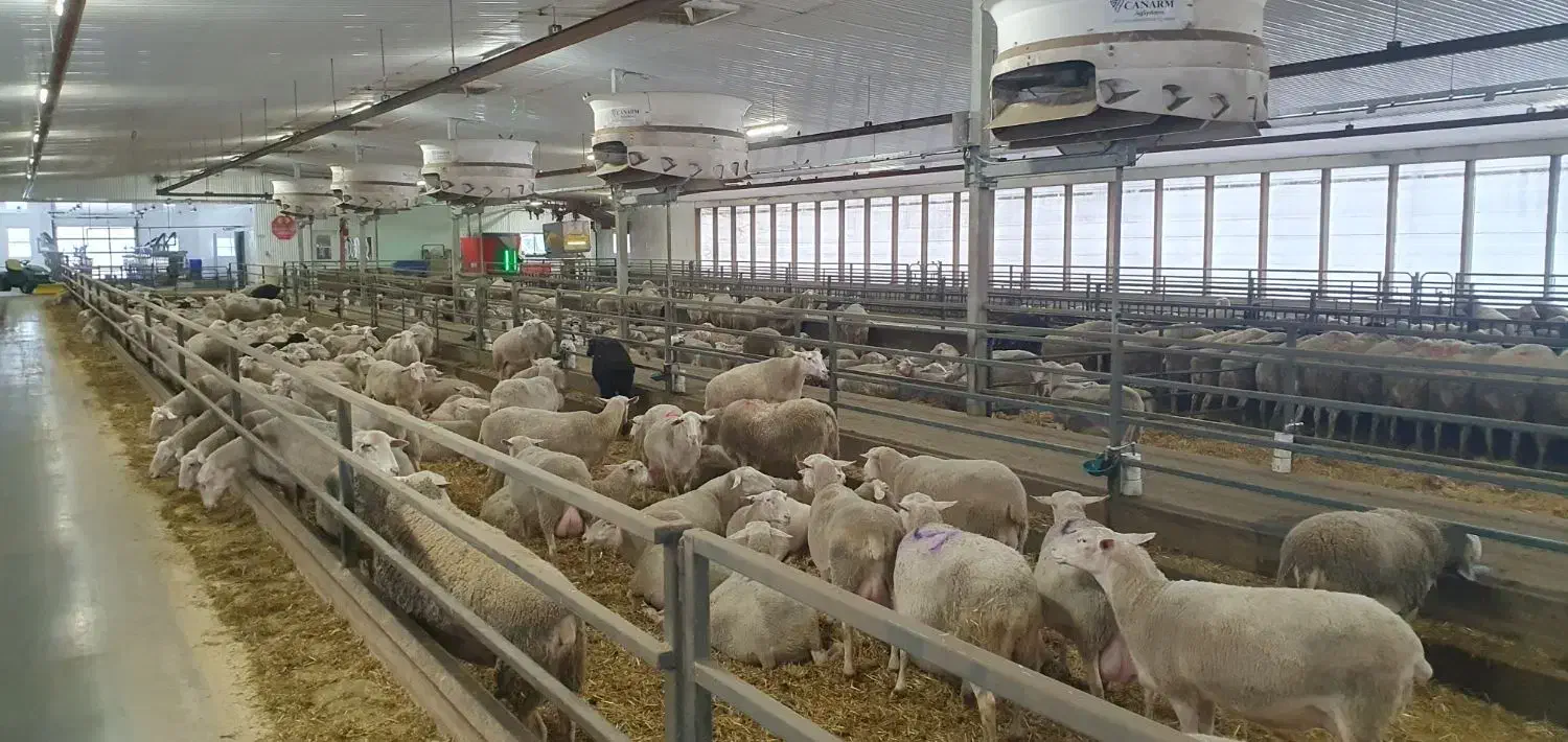 کارگر جهت دامداری صنعتی|استخدام سرایداری و نظافت|تهران, تهرانسر مرکزی|دیوار