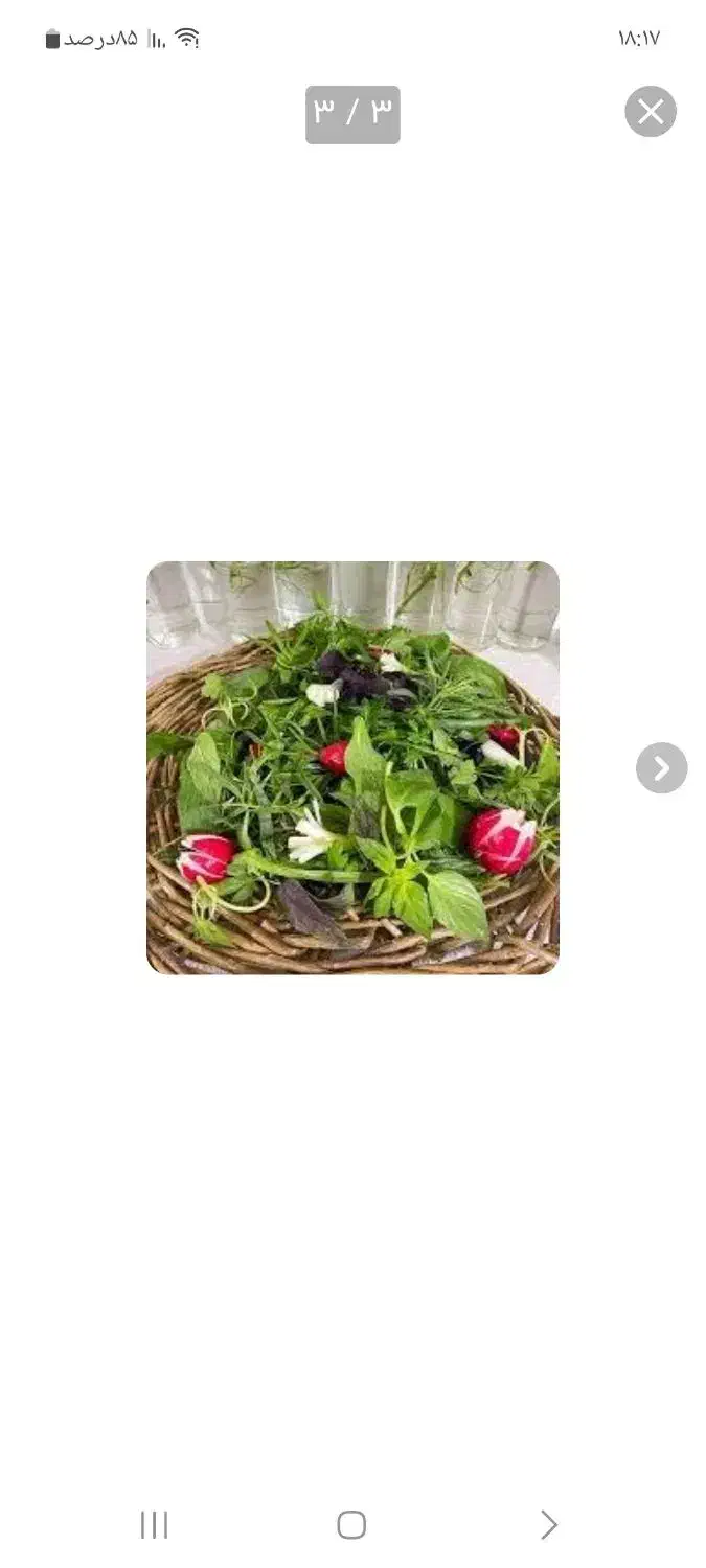 سبزی خوردن سفارش پاک کردن ، بدون شستن|خوردنی و آشامیدنی|تهران, دریان‌نو|دیوار