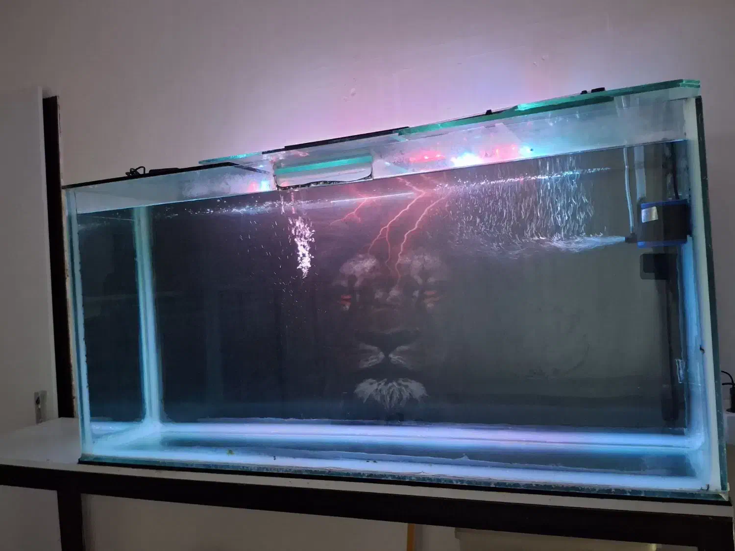 اکواریوم بزرگ درحدنو با لوازم|ماهی|بیرجند, |دیوار