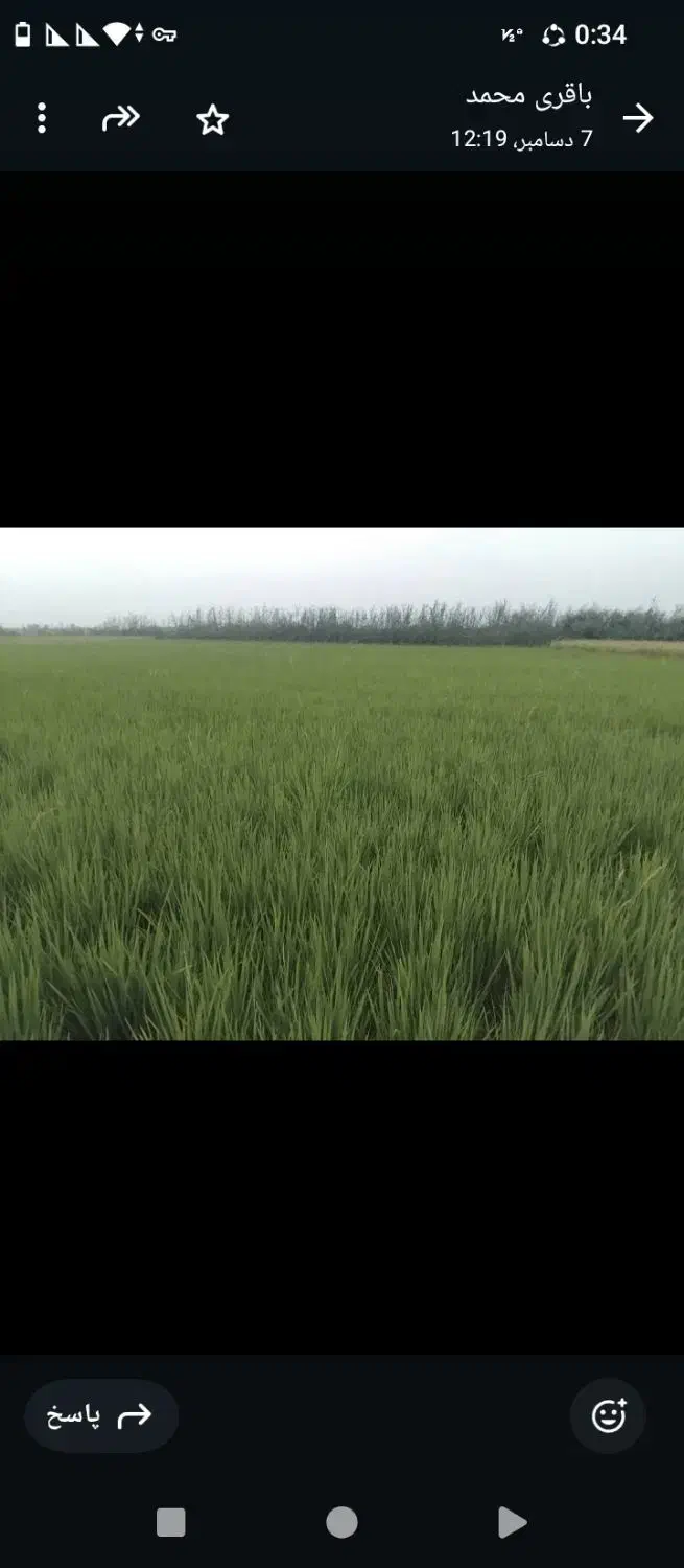 زمین کشاورزی ۵۰۰۰ متری سنددار در صومعه‌سرا|فروش دفتر صنعتی، کشاورزی، تجاری|تولم شهر, |دیوار