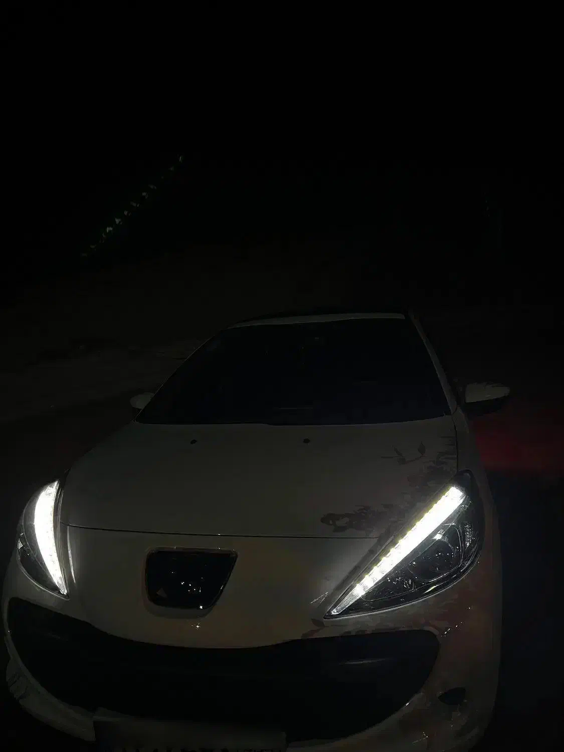 ۲۰۷ پانا|خودرو سواری و وانت|تربت‌حیدریه, شهید قرنی|دیوار