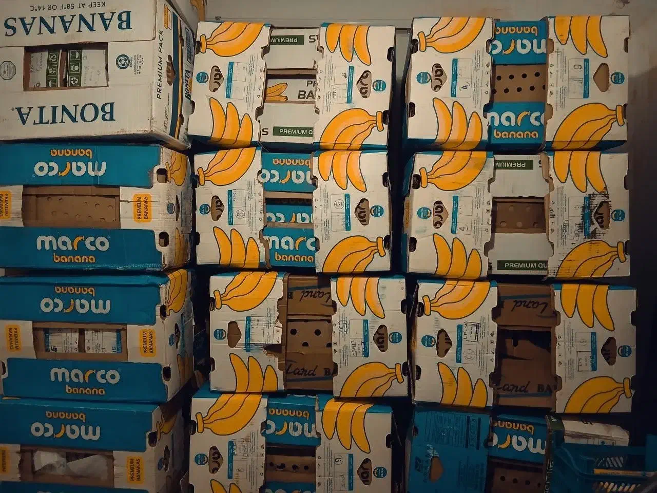 فروش کارتن موز کاملا سالم|ابزارآلات|لاهیجان, کوی زمانی|دیوار