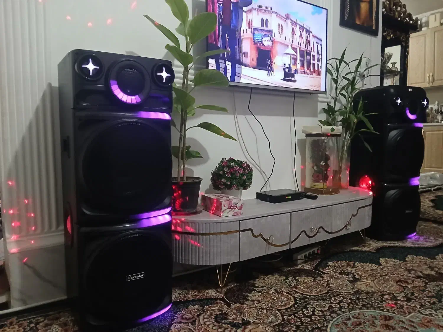 اسپیکر دو قلو|سیستم صوتی خانگی|ریگان, |دیوار