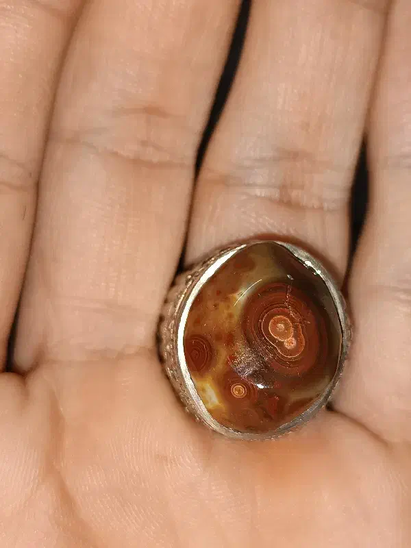 انگشتر سلطانی کلکسیونی|کلکسیون اشیاء عتیقه|اهواز, کمپلو جنوبی|دیوار