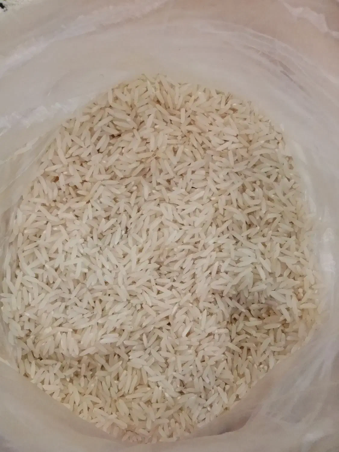 برنج راتون هاشمی (شاه برنج)|خوردنی و آشامیدنی|رشت, ساغری سازان|دیوار