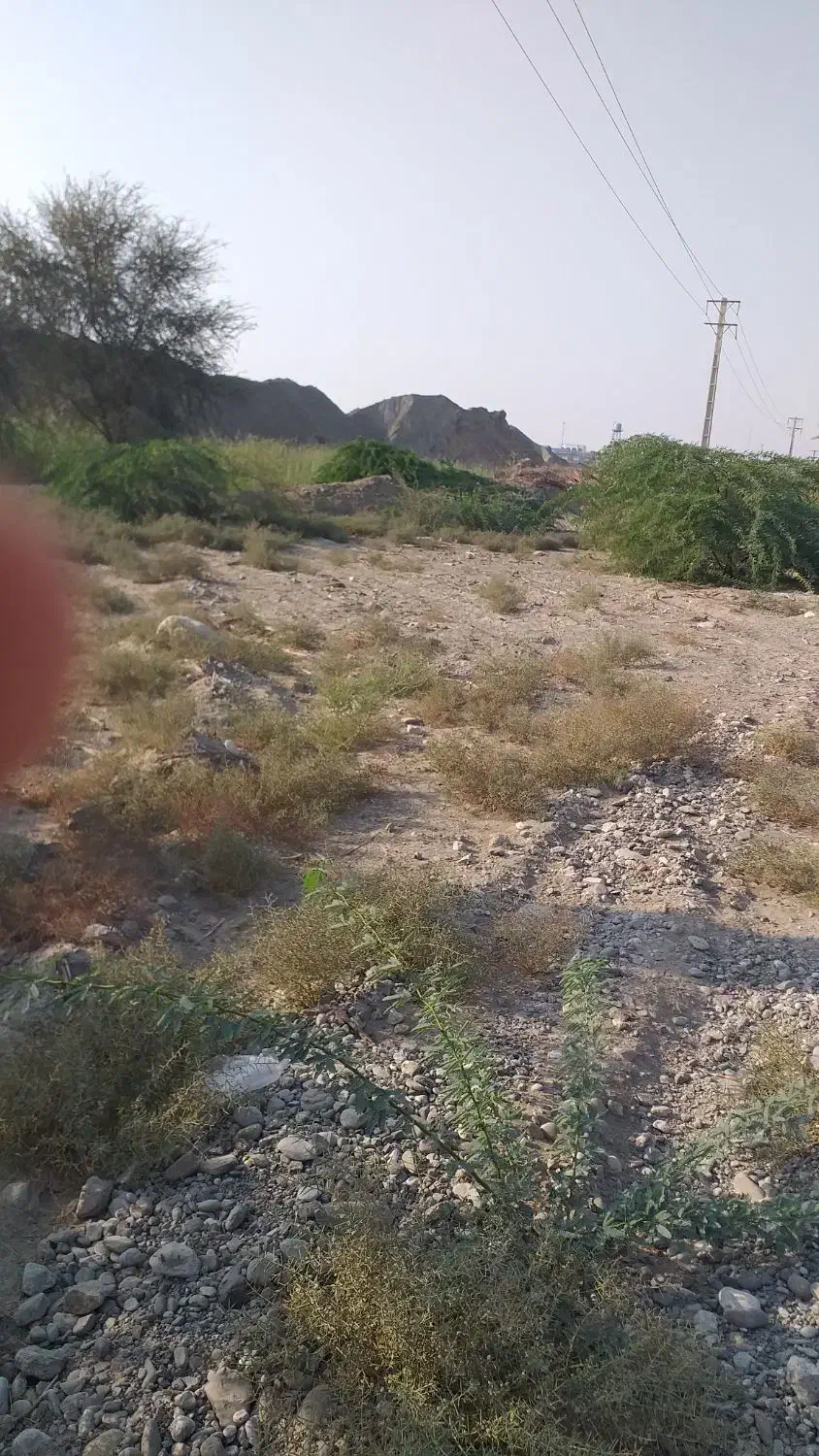 زمین باغ دارای سند در روستای ماگیان|فروش دفتر صنعتی، کشاورزی، تجاری|میناب, |دیوار