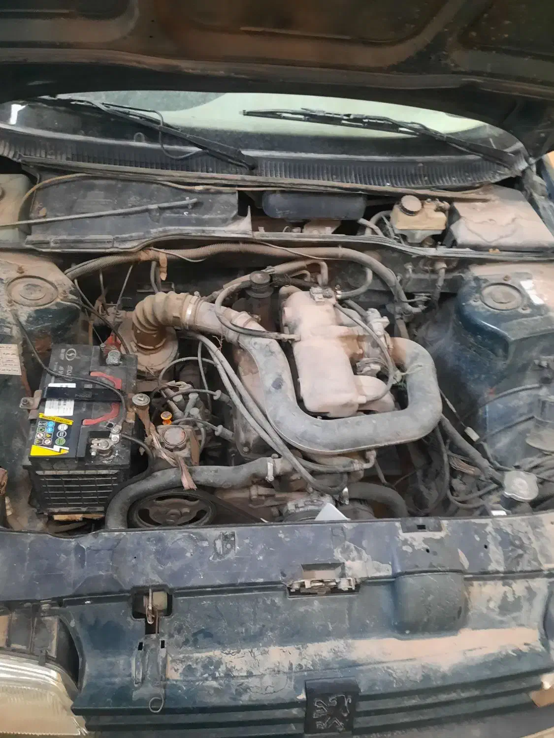 معاوضه آردی با وانت|خودرو سواری و وانت|رفسنجان, |دیوار