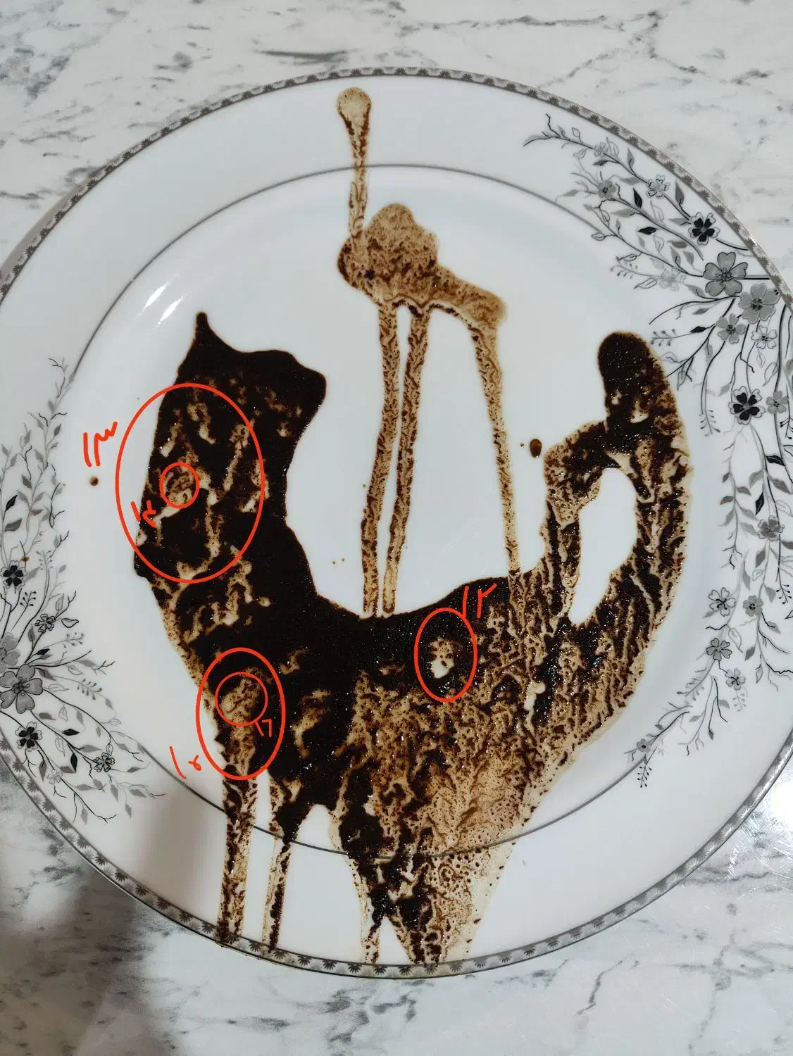 فال قهوه|خدمات پذیرایی، مراسم|مرند, |دیوار