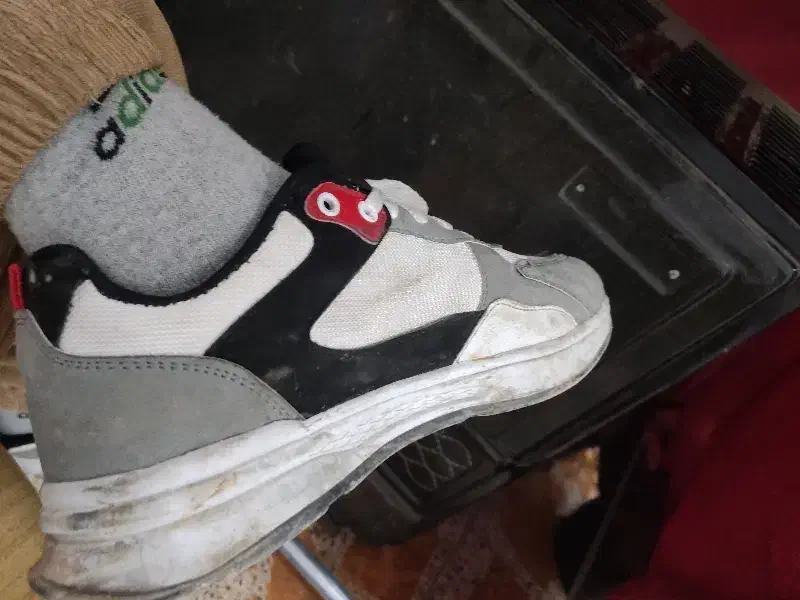 کفش موتوری|کیف، کفش، کمربند|تربت جام, معدآباد|دیوار