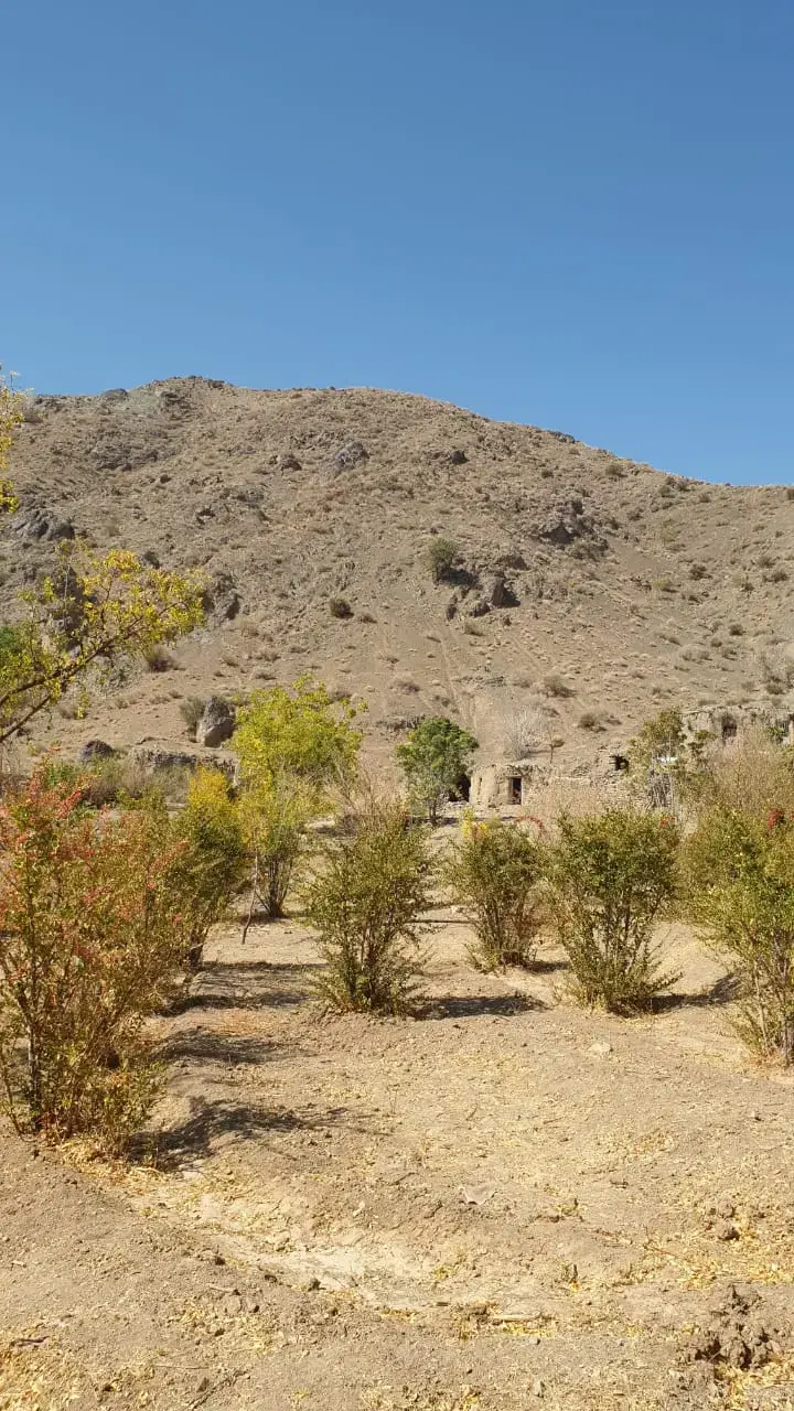 تصویر 4