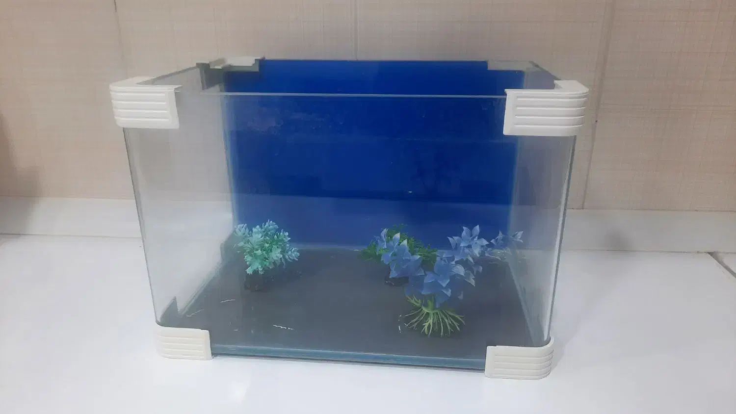 آکواریوم خانگی نو|ماهی|فولادشهر, C5|دیوار