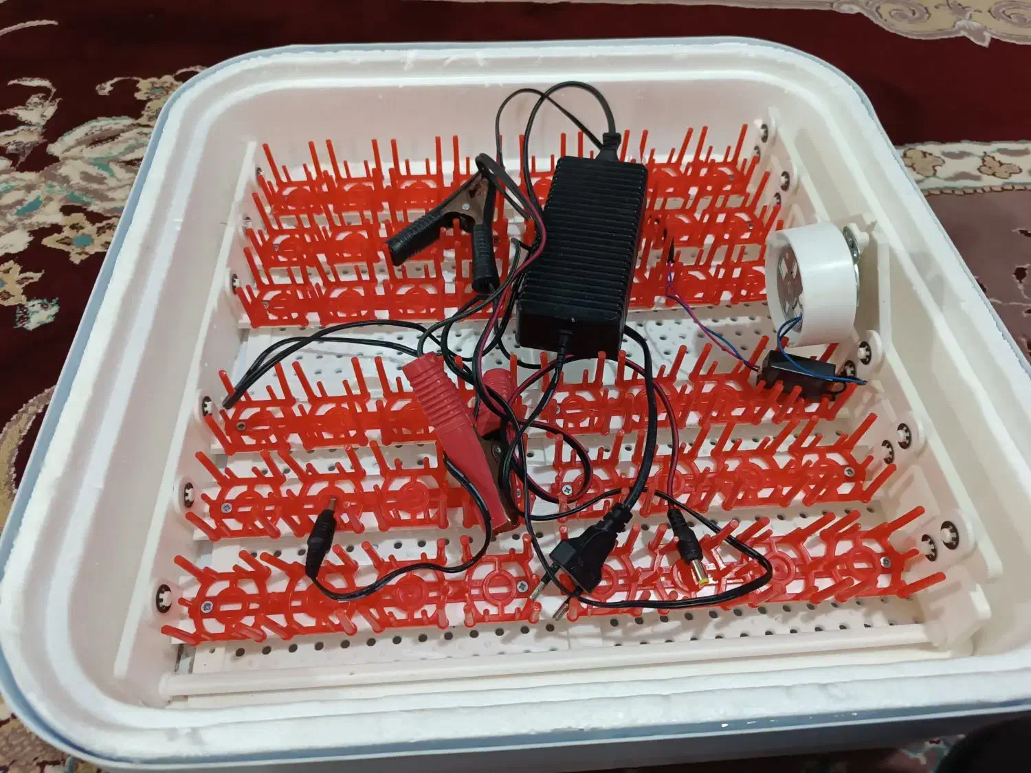 دستگاه جوجه کشی|لوازم جانبی حیوانات|میلاجرد, |دیوار