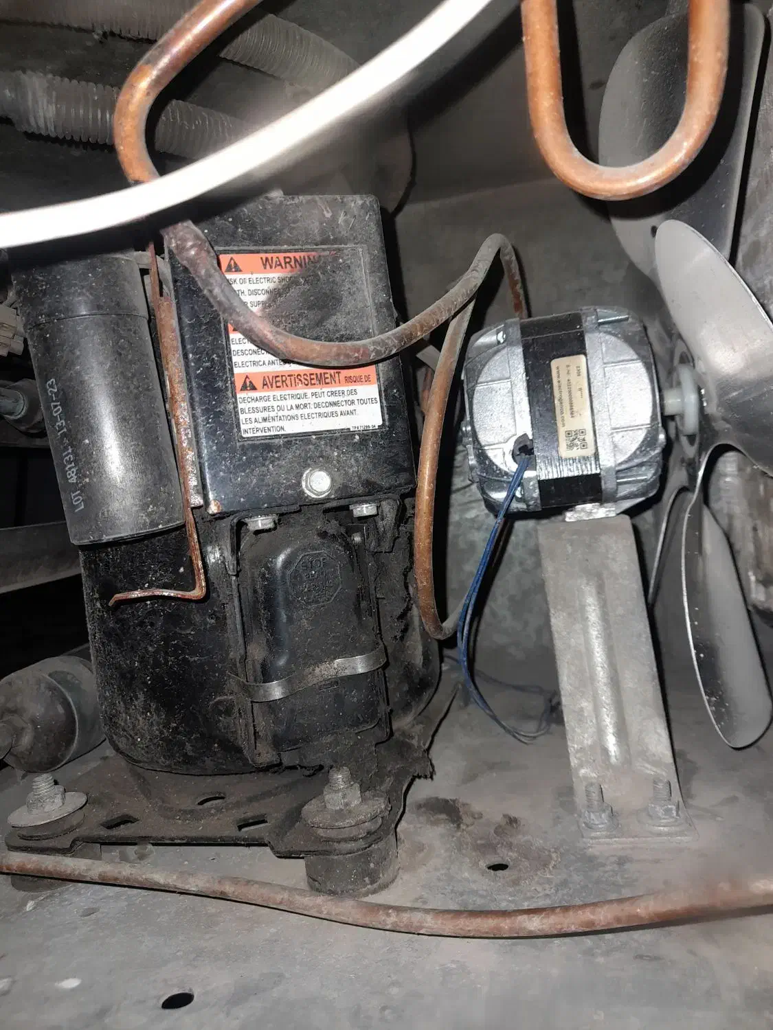 یخچال ویترینی|فروشگاه و مغازه|شیراز, قلات|دیوار