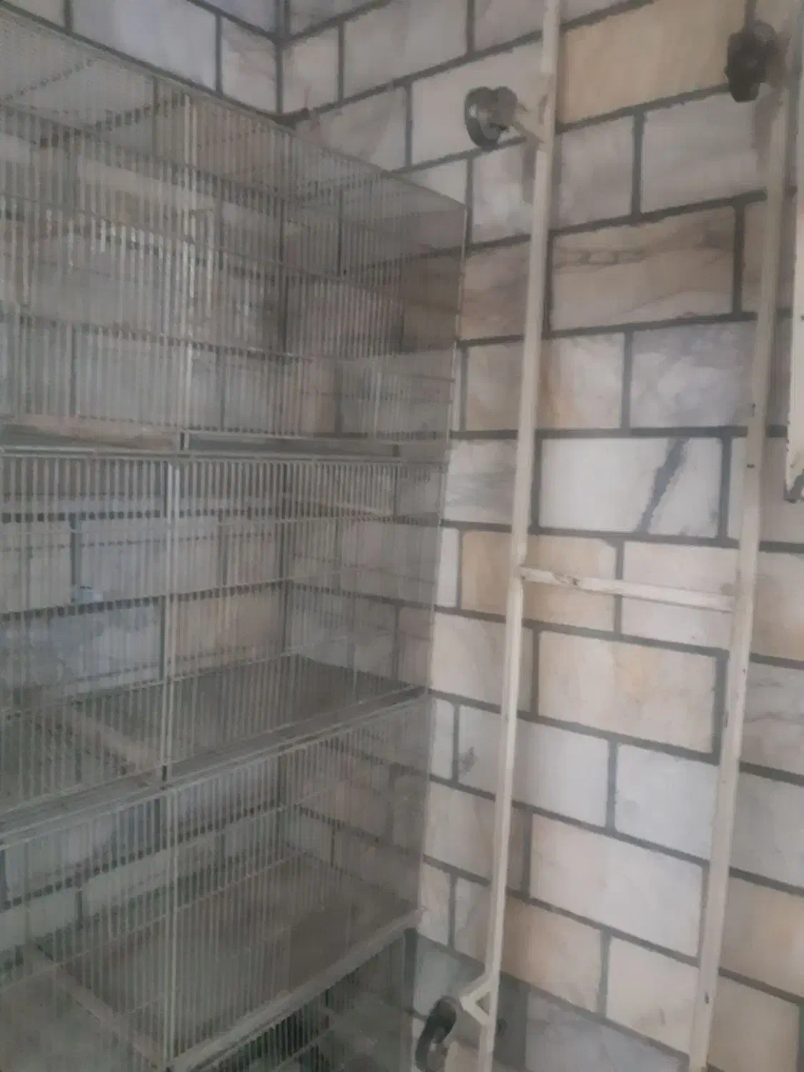 فروش یک عدد قفس غلامی 8 خان همراه چرخ|لوازم جانبی حیوانات|باغستان, |دیوار