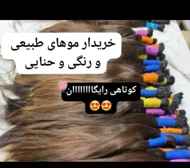 کوتاهی موهای بانوان در سالن نرگس موهای خام رنگی|آرایشگاه و سالن‌های زیبایی|رامهرمز, |دیوار