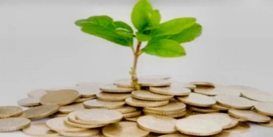 ارائه سرمایه گذاری به مبلغ ۲ ملیارد تومان|خدمات مالی، حسابداری، بیمه|رشت, منظریه|دیوار