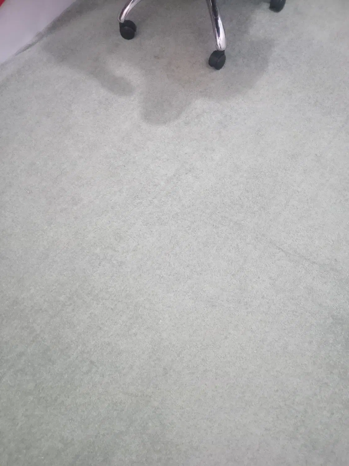 موکت رنگ سبز|موکت|شوط, |دیوار