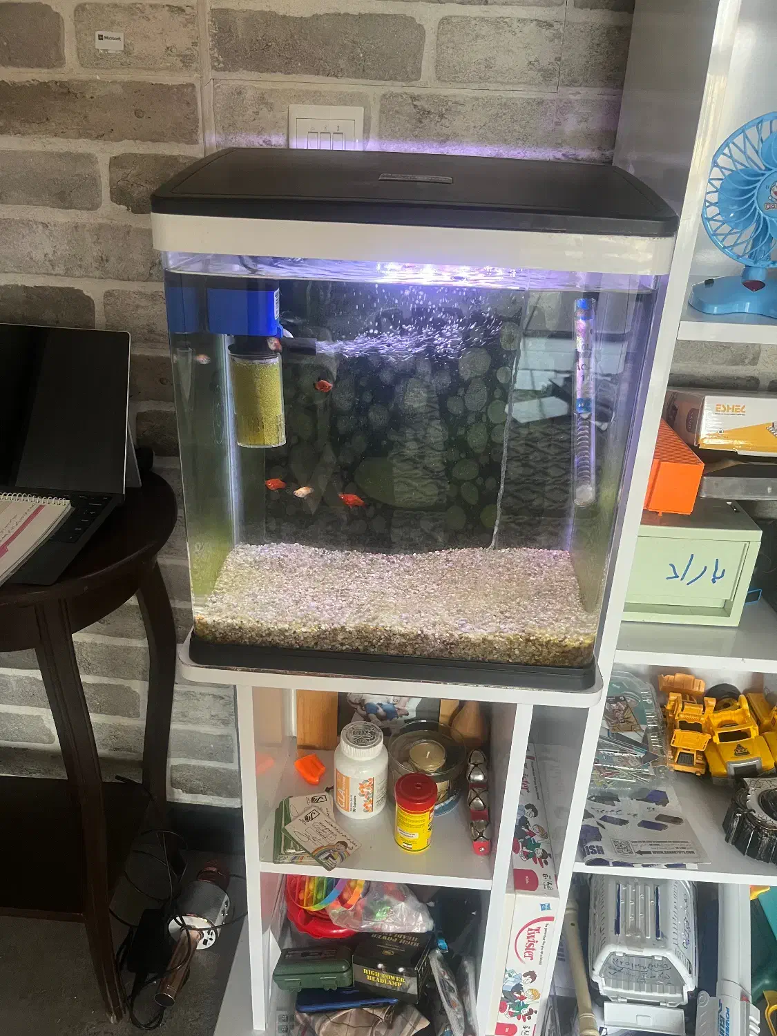 آکواریوم دلسا|ماهی|ماهدشت, |دیوار