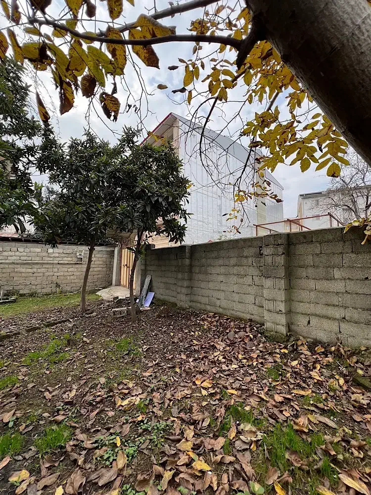 اجاره|اجارهٔ خانه و ویلا|ماسال, |دیوار