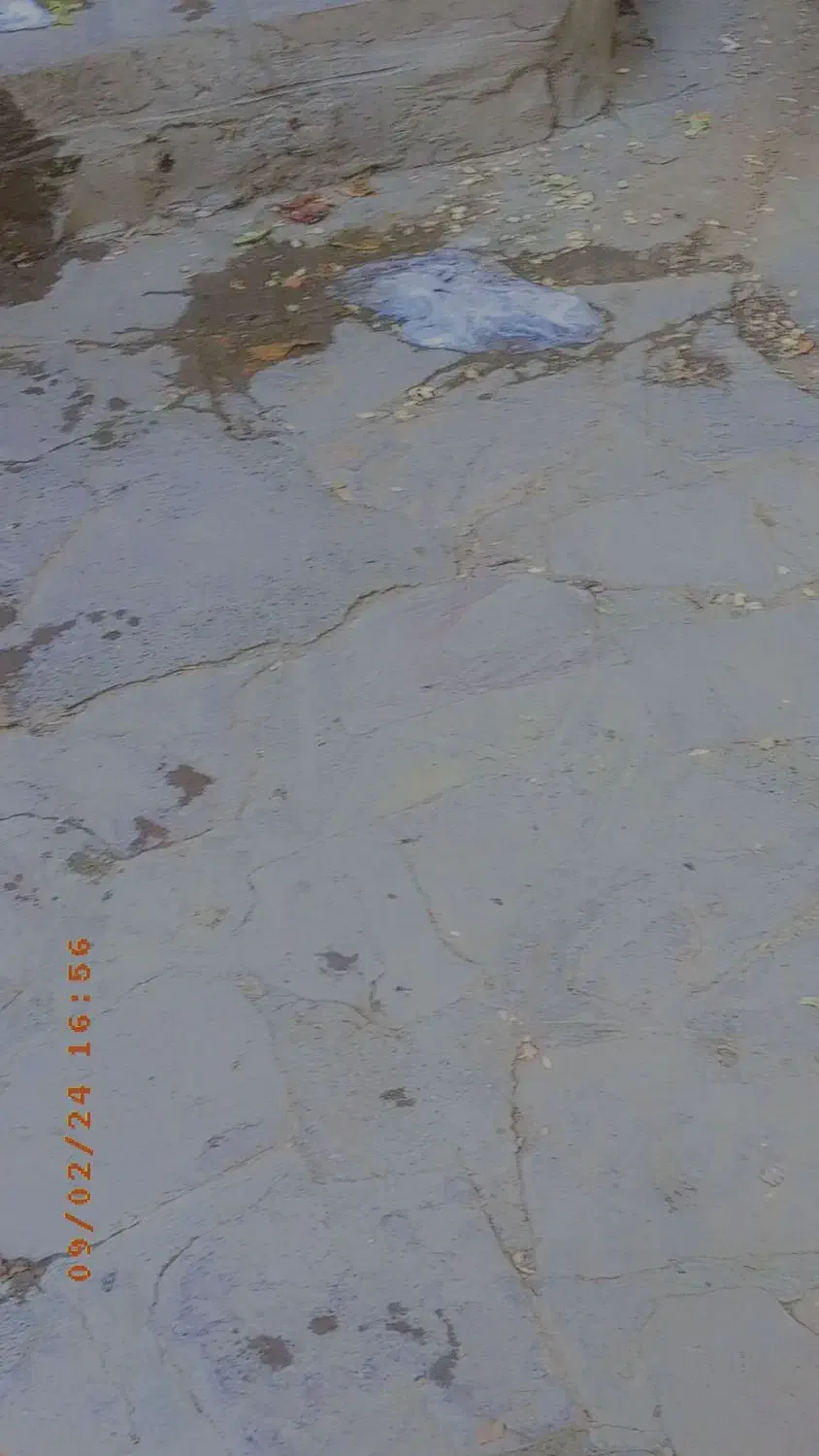 چاه کن محمدی|خدمات پیشه و مهارت|تربت جام, میان جام|دیوار