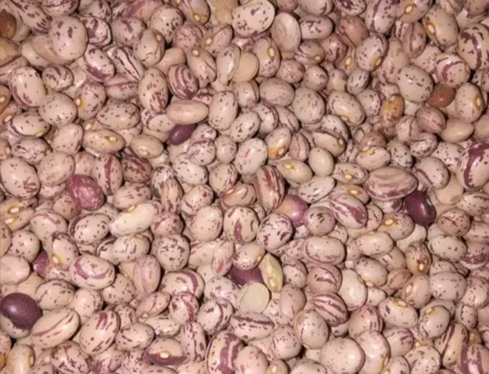 لوبیا چیتی|خوردنی و آشامیدنی|شازند, |دیوار