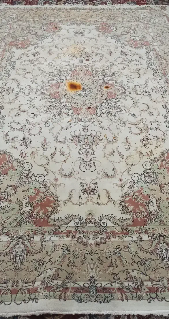 فرش|فرش|هشتگرد, سیف آباد|دیوار