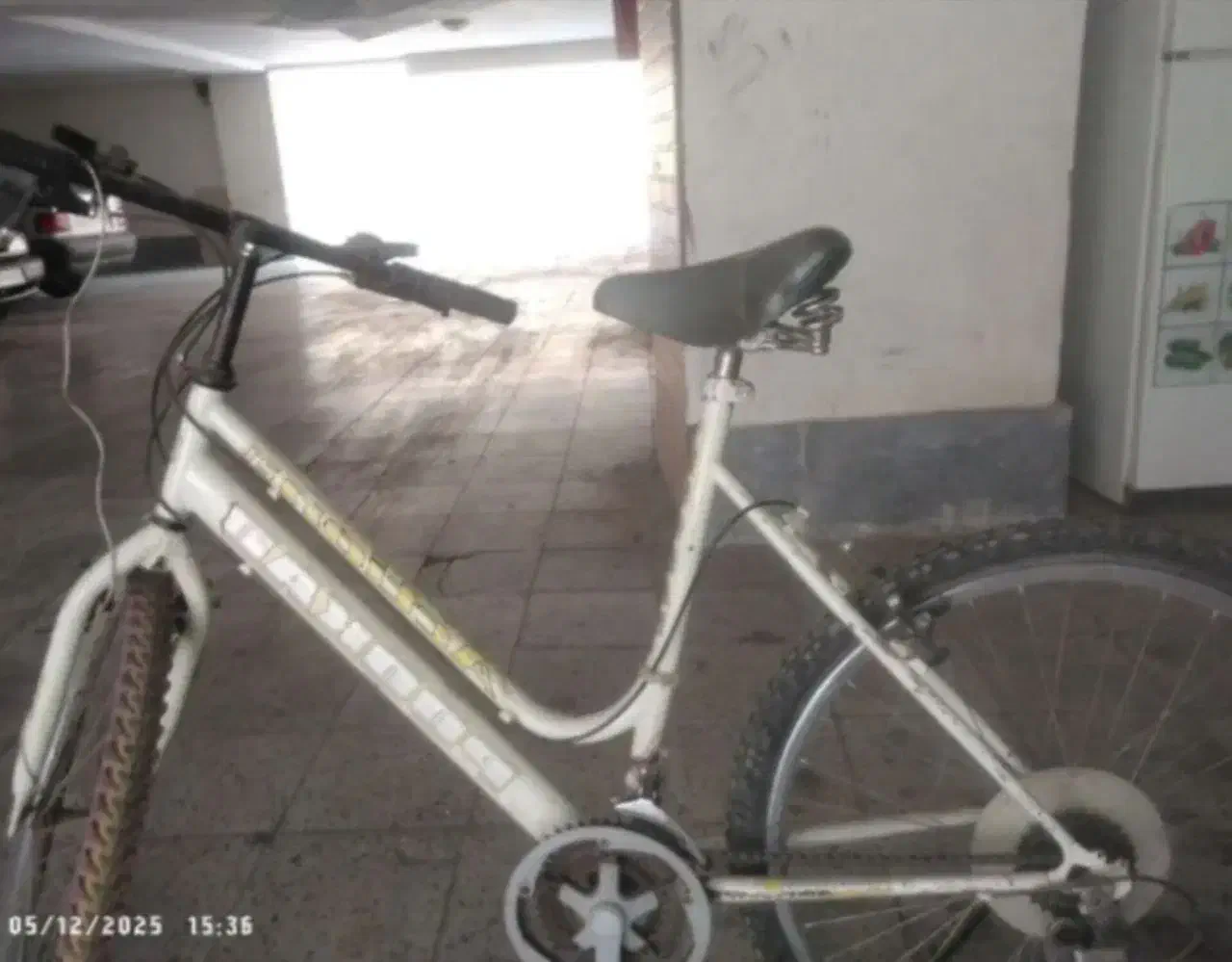 دوچرخه|دوچرخه، اسکیت، اسکوتر|دامغان, |دیوار