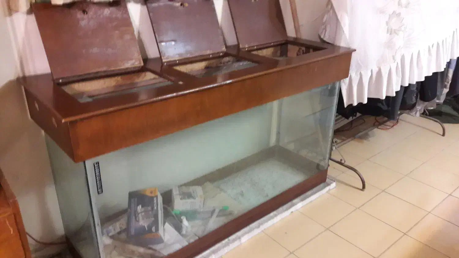 آکواریوم بزرگ|ماهی|تهران, جردن|دیوار