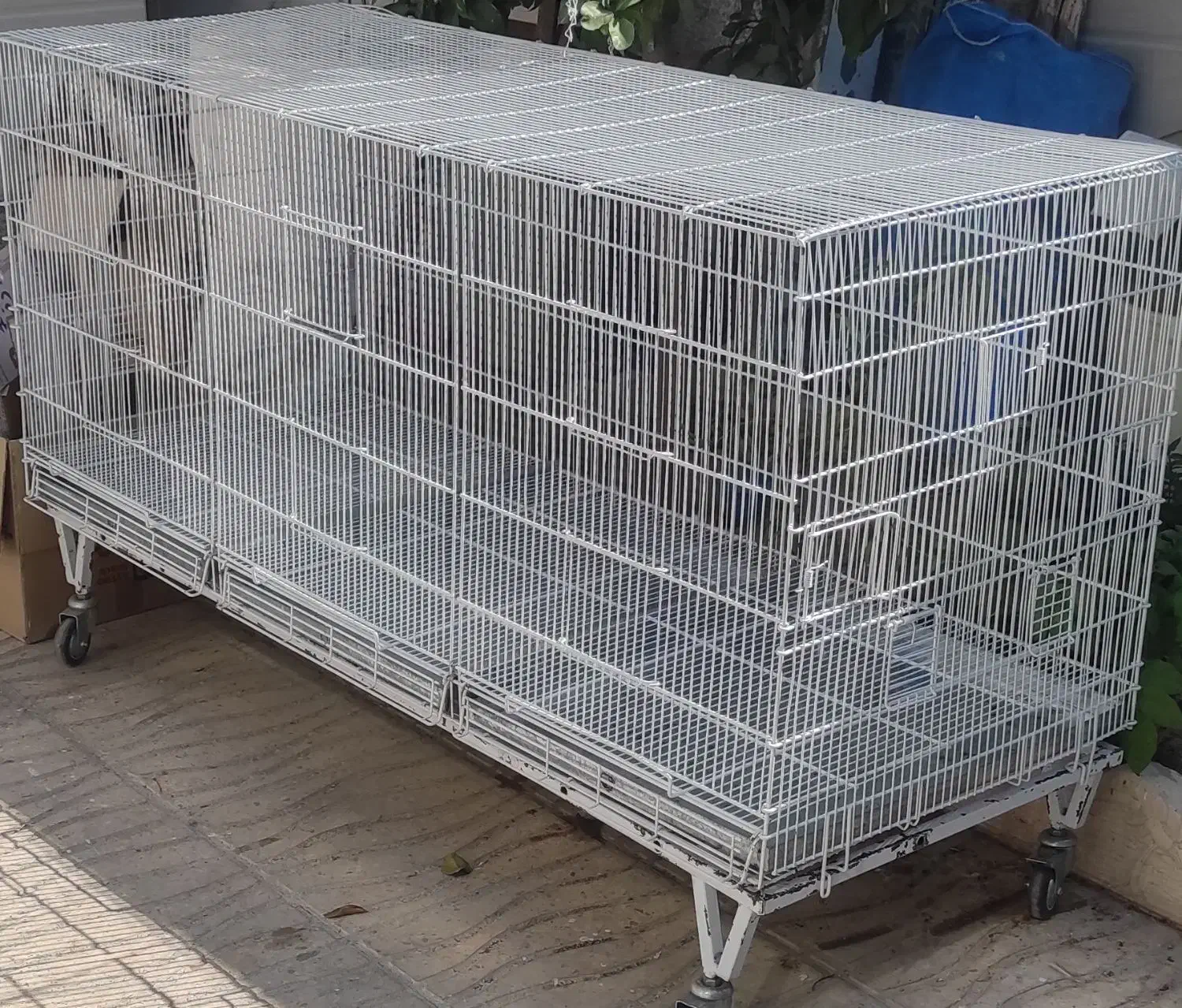 قفس پران اردشیر|لوازم جانبی حیوانات|مرودشت, ابوذر شمالی|دیوار