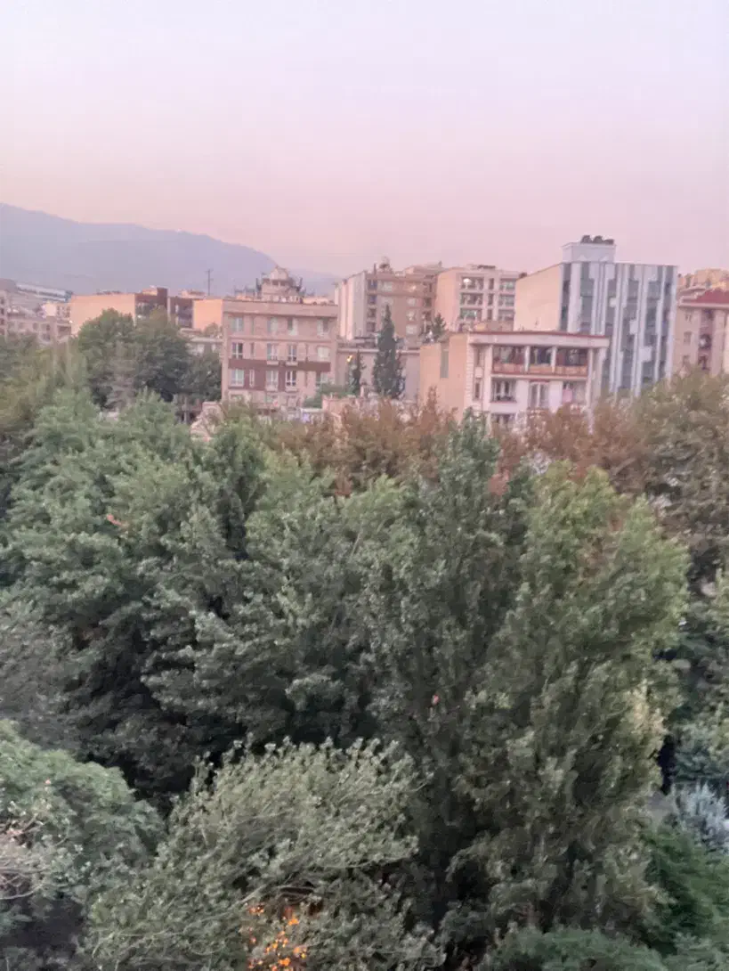 ۹۵ متر ۲ خواب ویو ابدی و مشجر بلوار دوستان|فروش آپارتمان|تهران, نظامی گنجوی (توانیر)|دیوار