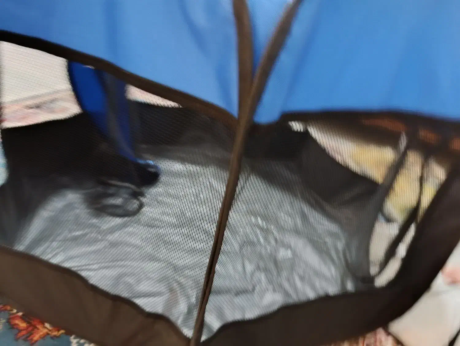 پارک سگ یا گربه|لوازم جانبی حیوانات|پردیس, فاز ۱۱|دیوار