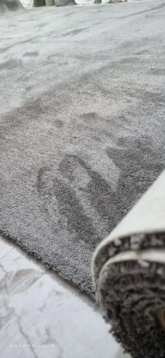 فروشگاه موکت شاقلانی|موکت|الوند, |دیوار