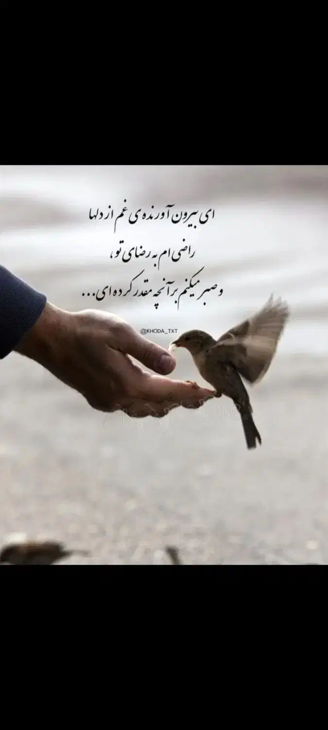 گمشده|اشیا|کرمانشاه, |دیوار