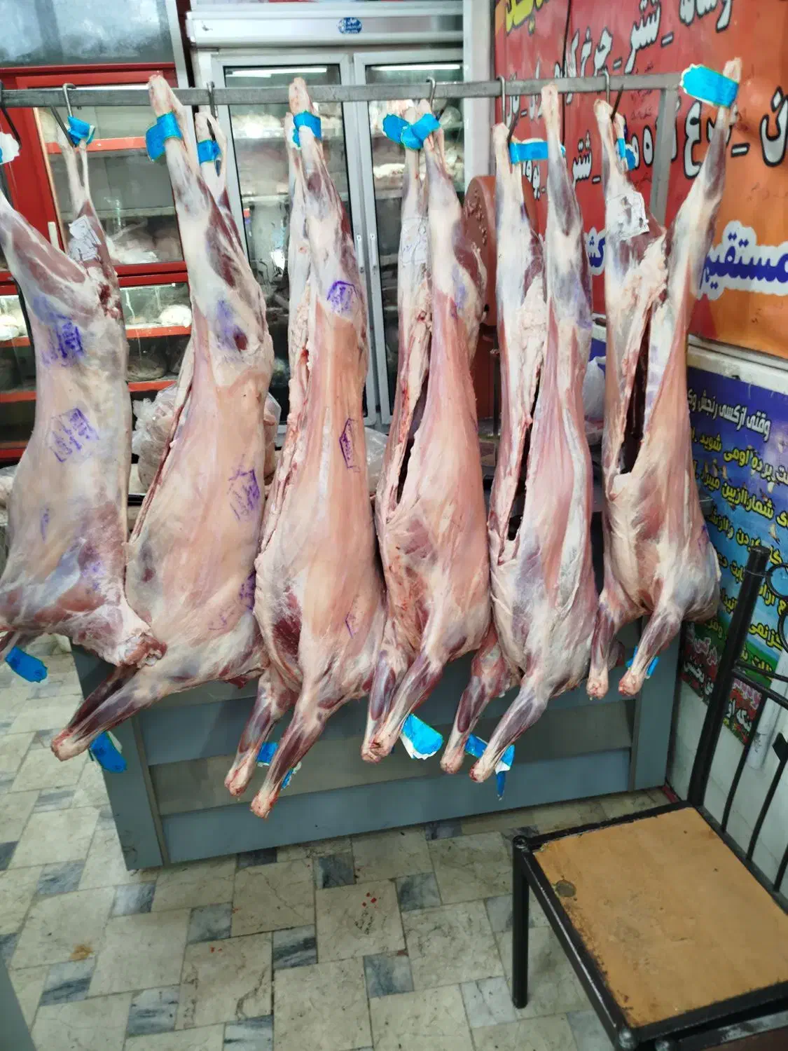 پاچه شتر کوهان شتر شحله دنبه بره|خوردنی و آشامیدنی|مشهد, گاز|دیوار