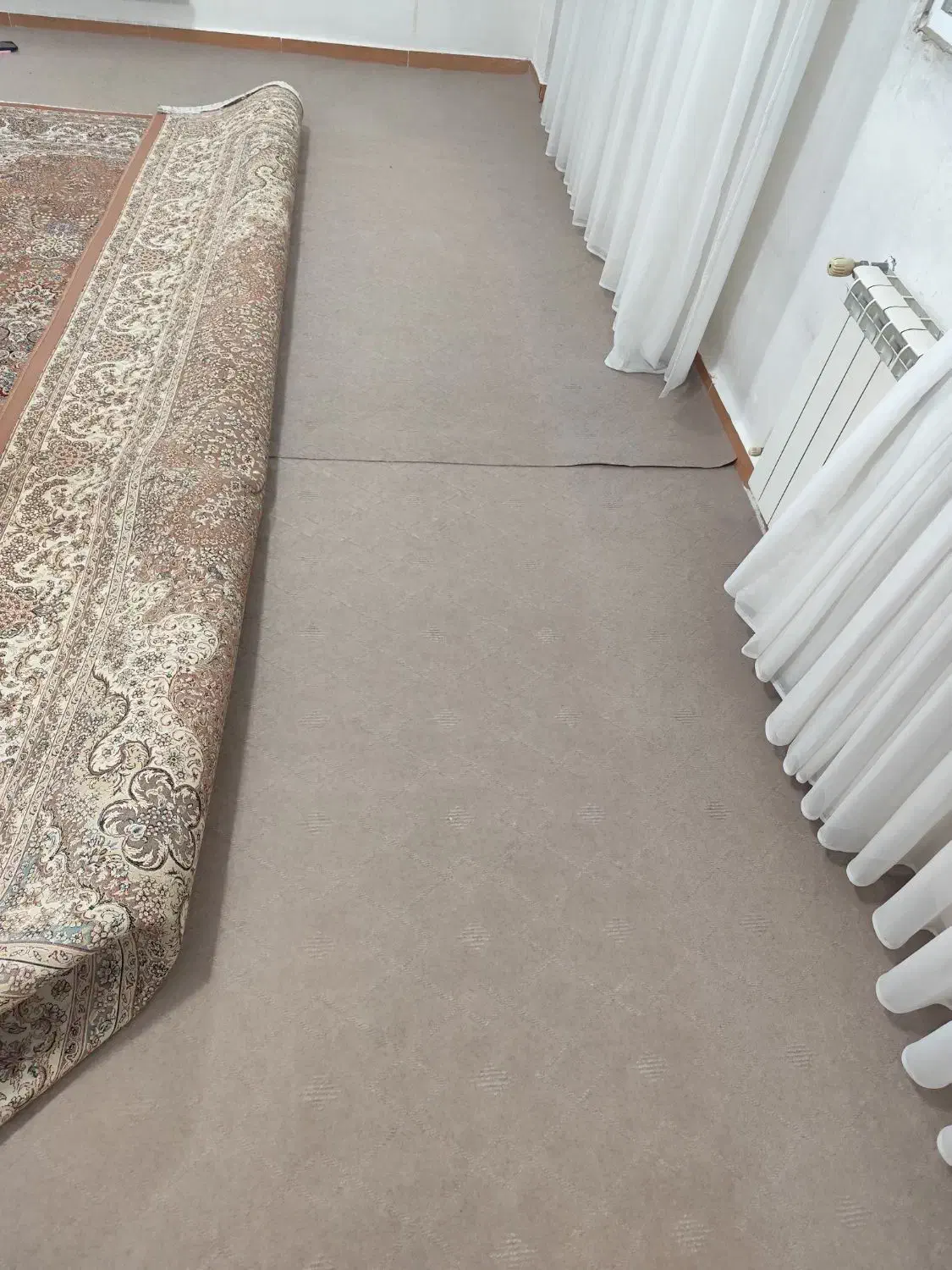 موکت کرمی|موکت|بوکان, |دیوار