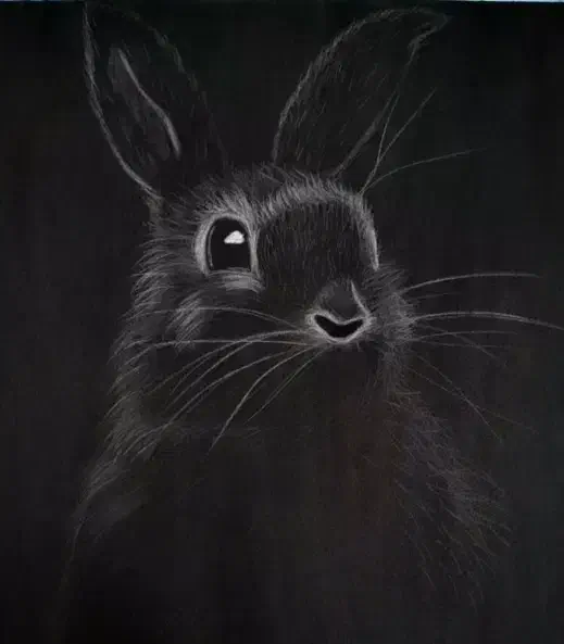 سیاه قلم|تابلو، نقاشی، عکس|قائم‌شهر, |دیوار