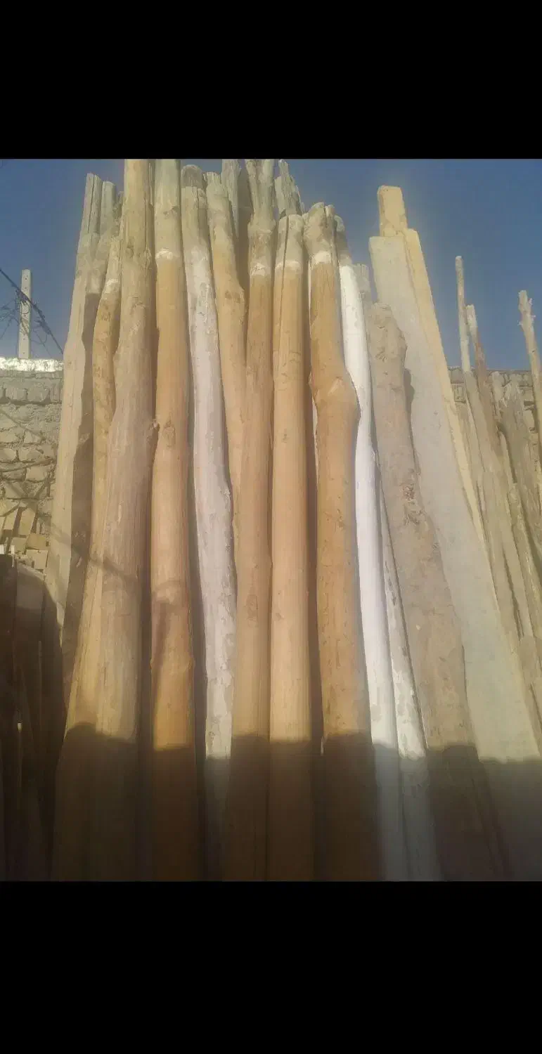 اسقف در اومده خریدچوب سقفی یاهمون دام تیری|خدمات باغبانی و درختکاری|ایجرود, |دیوار