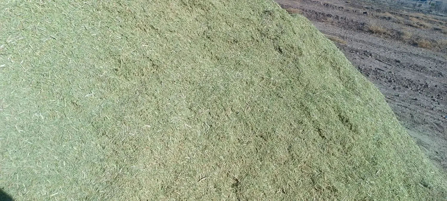 خارکوبیده|گل و گیاه طبیعی|خوشاب, |دیوار