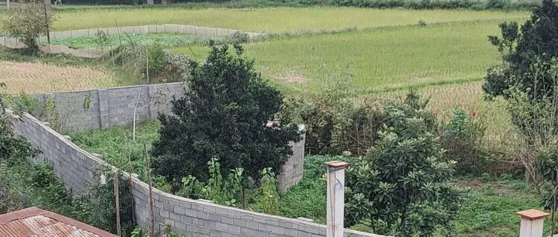 گیلان سنگر450 متر مسکونی 2000متر زمین باغ فنس شد|فروش زمین و ملک کلنگی|سنگر, |دیوار