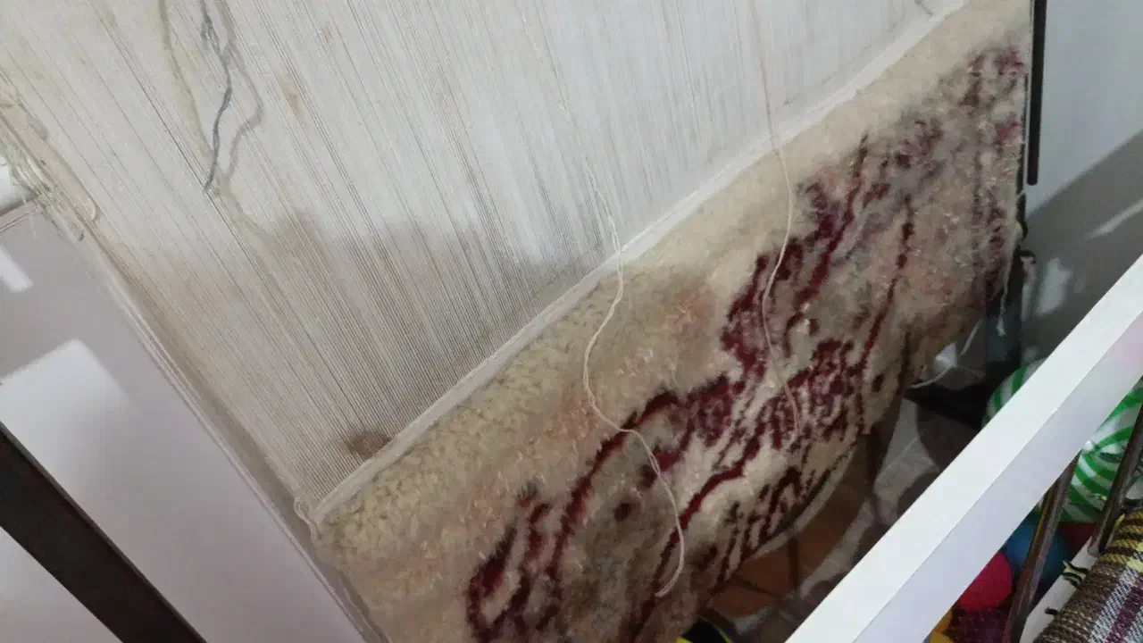 دارقالی.تابلو فرش|تابلو فرش|گلبهار, شهر جدید گلبهار|دیوار