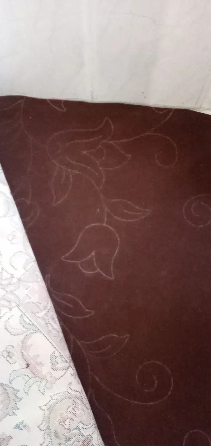 موکت درحدنو|موکت|چناران, |دیوار