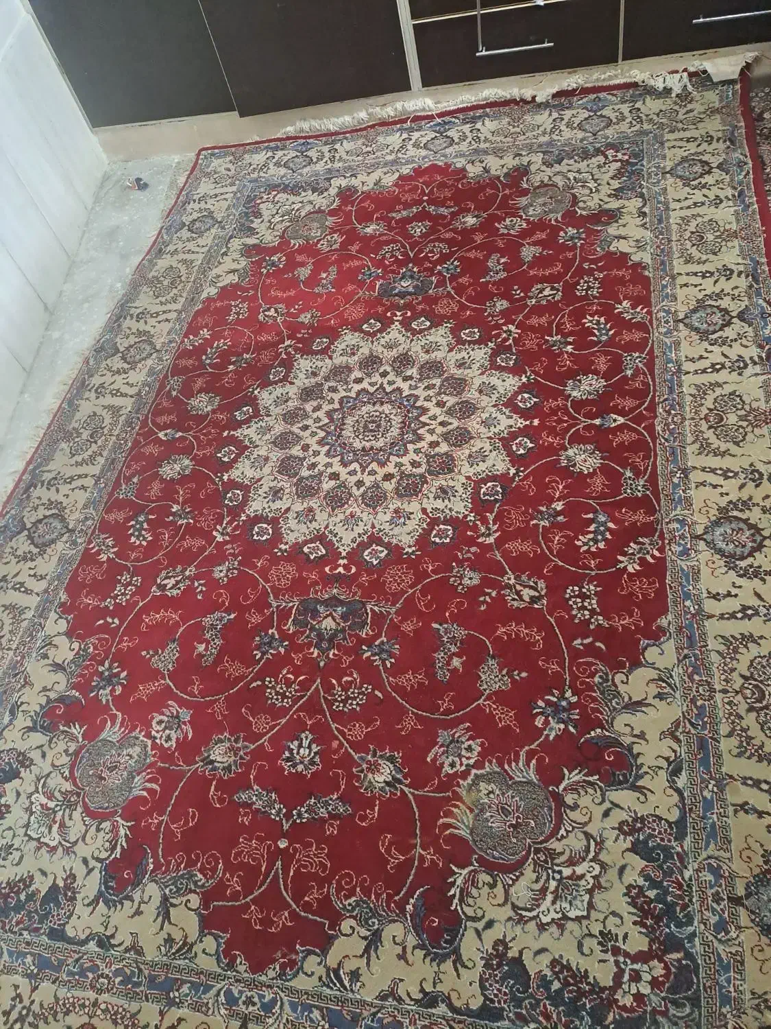 فرش ۶ متری|فرش|شیراز, شهدای شهرک سعدی|دیوار