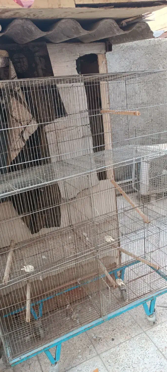 قفس هشت خان با لونه و هشت خان بازاری و قفس1033|لوازم جانبی حیوانات|اسلام‌شهر, شهرک امام حسین (میان آباد)|دیوار