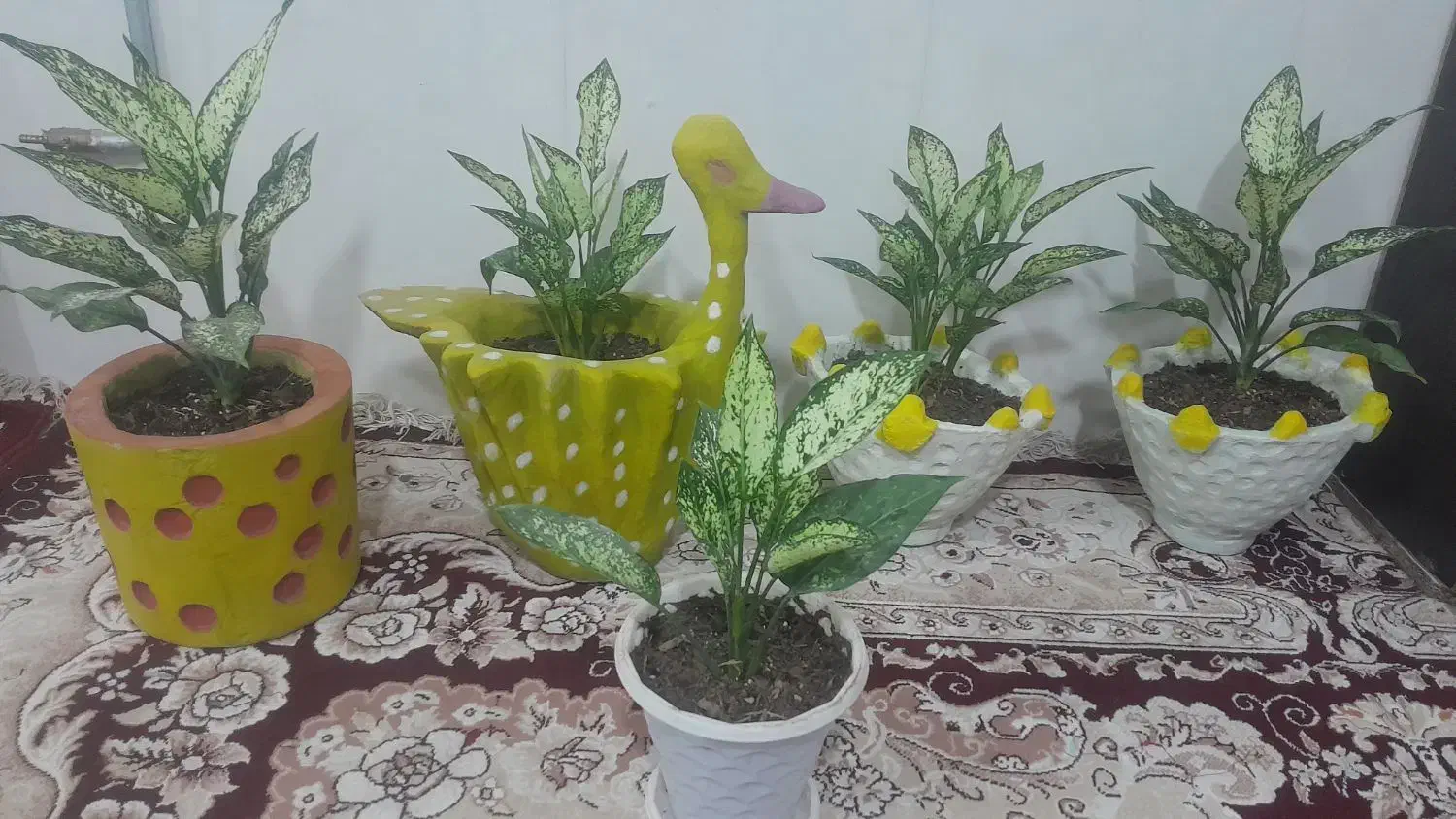 حوض آبنما  وگل گلدان|گل و گیاه طبیعی|سبزوار, شرق کال شمالی|دیوار