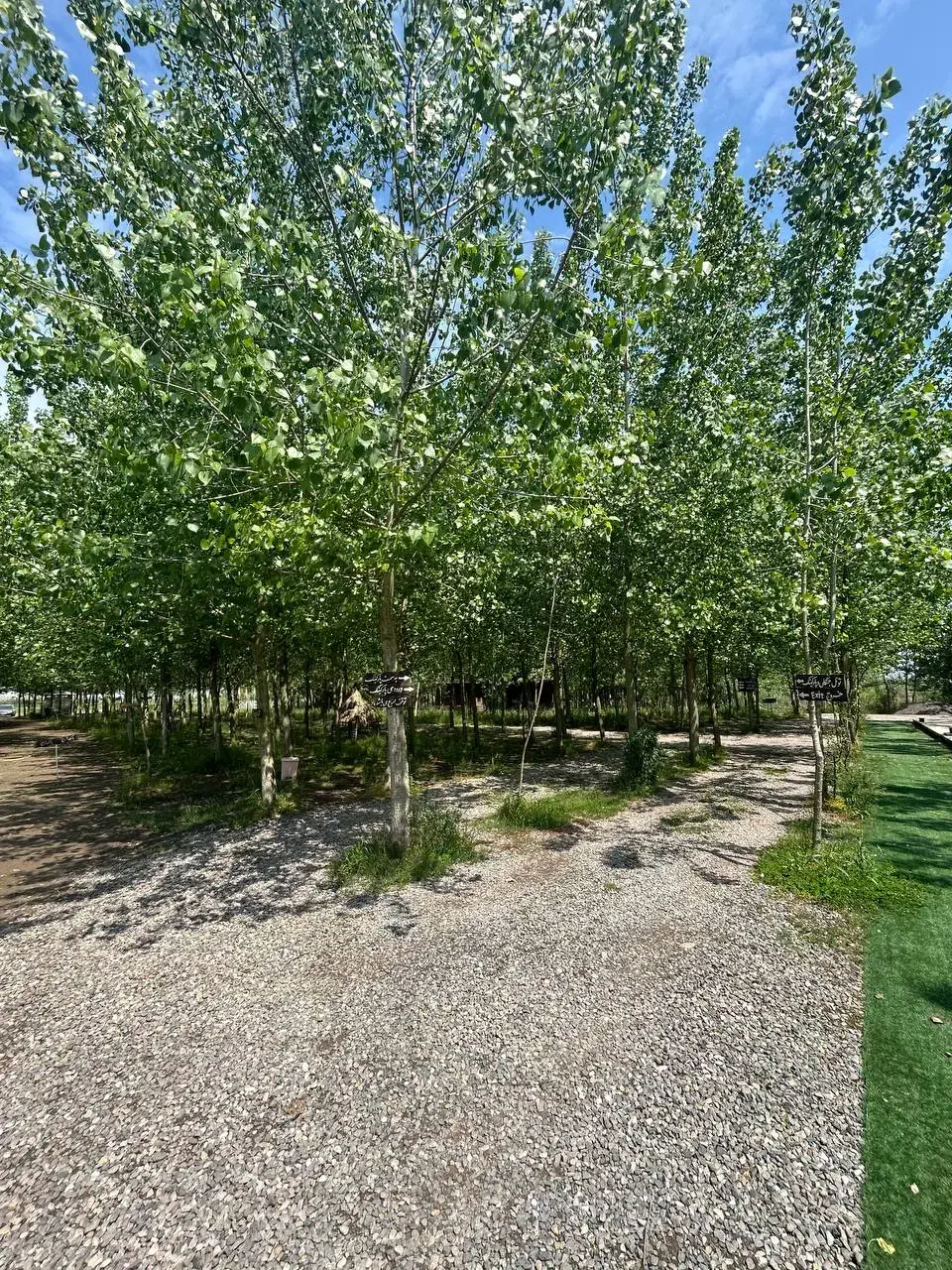 آرامش در دل طبیعت|فروش خانه و ویلا|آذرشهر, |دیوار