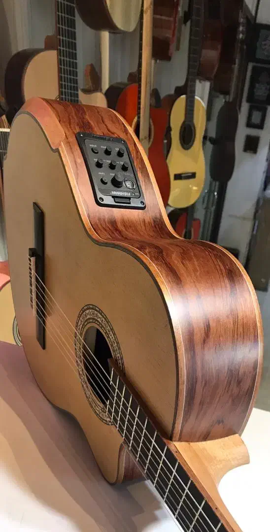 گیتار ++|گیتار، بیس، امپلیفایر|تهران, نازیآباد|دیوار