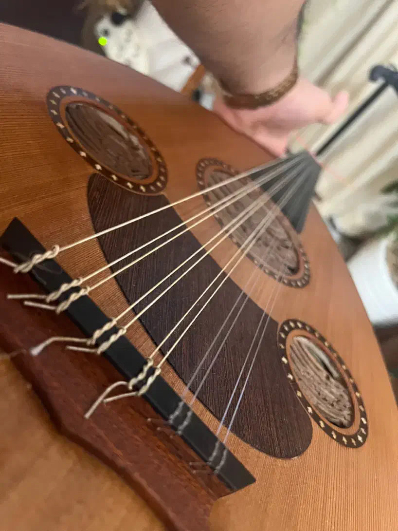 عود حرفه ای|سازهای سنتی|محمودآباد, |دیوار