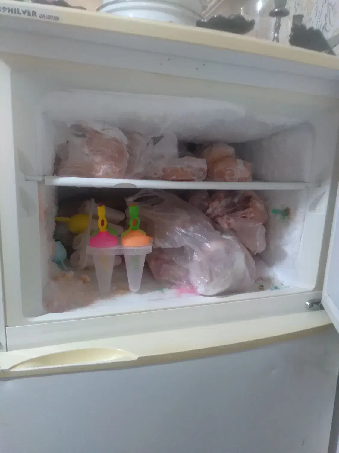 یخچال فریزر|یخچال و فریزر|مشهد, پورسینا|دیوار