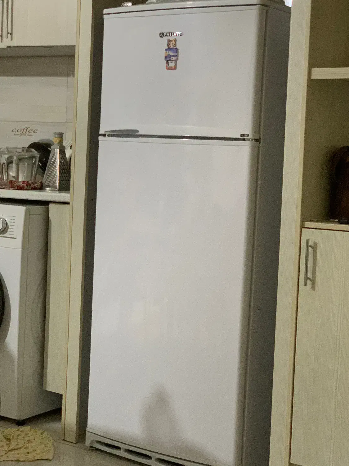 یخچال فیلور ۱۴ فوت نو|یخچال و فریزر|گنبد کاووس, |دیوار